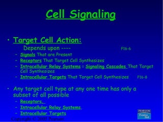 Cell signaling | PPT