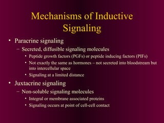 Mechanisms of Inductive
Signaling
• Paracrine signaling
– Secreted, diffusible signaling molecules
• Peptide growth factors (PGFs) or peptide inducing factors (PIFs)
• Not exactly the same as hormones – not secreted into bloodstream but
into intercellular space
• Signaling at a limited distance
• Juxtacrine signaling
– Non-soluble signaling molecules
• Integral or membrane associated proteins
• Signaling occurs at point of cell-cell contact
 