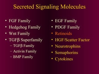 Secreted Signaling Molecules
• FGF Family
• Hedgehog Family
• Wnt Family
• TGFβ Superfamily
– TGFβ Family
– Activin Family
– BMP Family
• EGF Family
• PDGF Family
• Retinoids
• HGF/Scatter Factor
• Neurotrophins
• Semaphorins
• Cytokines
 