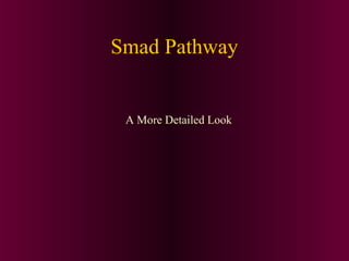 Smad Pathway
A More Detailed Look
 