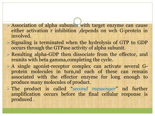  Association of alpha subunits with target enzyme can cause
either activation r inhibition ,depends on wch G-protein in
involved.
 Signaling is terminated when the hydrolysis of GTP to GDP
occurs through the GTPase activity of alpha subunit.
 Resulting alpha-GDP then dissociate from the effector, and
reunits with beta gamma,completing the cycle.
 A single agonist-receptor complex can activate several G-
protein molecules in turn,nd each of these can remain
associated with the effector enzyme for long enough to
produce many molecules of product.
 The product is called “second messenger” nd further
amplification occurs before the final cellular response is
produced .
 