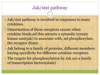 Jak/stat pathway
Jak/stat pathway is involved in responses to many
cytokines.
Dimerisation of these receptors occurs when
cytokine binds,nd this attracts a cytosolic tyrosin
kinase unit(jak) to associate with, nd phosphorylate,
the receptor dimer.
Jak belong to a family of proteins, different members
having specificity for different cytokine receptors.
The targets for phosphorylation by Jak are a family
of transcription factors(stats)
 