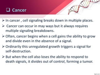  Cancer
 In cancer , cell signaling breaks down in multiple places.
 Cancer can occur in may ways but it always requires
multiple signaling breakdowns.
 Often, cancer begins when a cell gains the ability to grow
and divide even in the absence of a signal.
 Ordinarily this unregulated growth triggers a signal for
self-destruction.
 But when the cell also loses the ability to respond to
death signals, it divides out of control, forming a tumor.
 