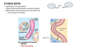 Cell signaling mechanism | PPTX