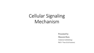 Cellular Signaling
Mechanism
Presented by:
Masoom Raza
Analytical methodology
PhD 1st Year (Life Sciences)
 