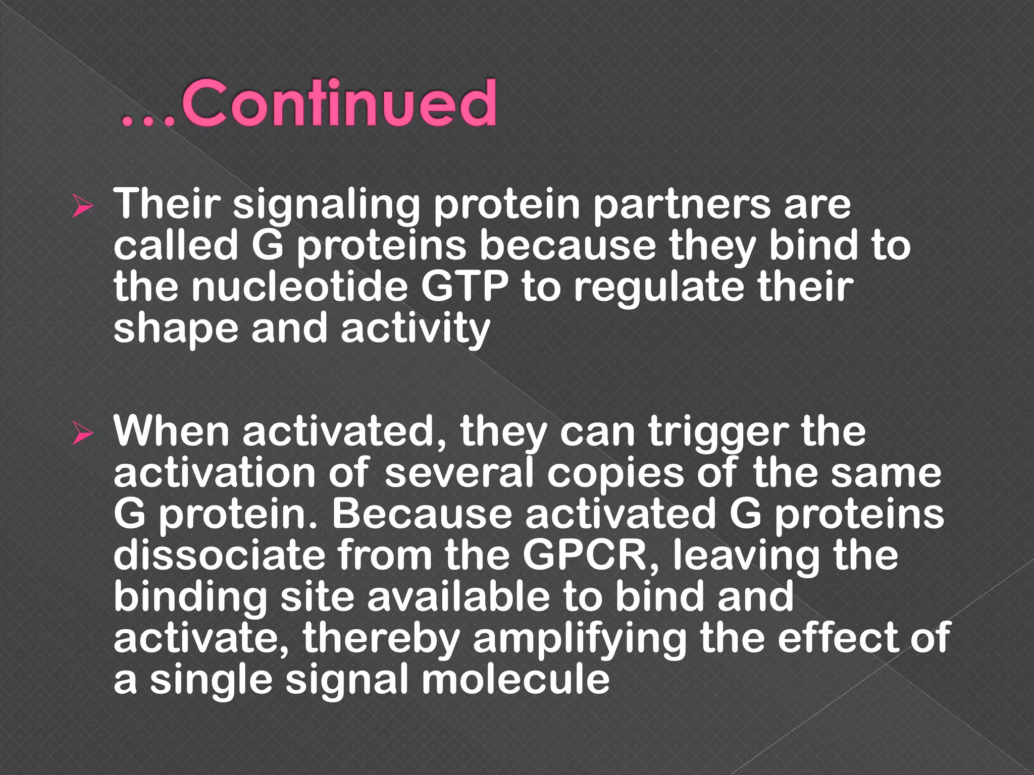  Their signaling protein partners are
called G proteins because they bind to
the nucleotide GTP to regulate their
shape and activity
 When activated, they can trigger the
activation of several copies of the same
G protein. Because activated G proteins
dissociate from the GPCR, leaving the
binding site available to bind and
activate, thereby amplifying the effect of
a single signal molecule
 