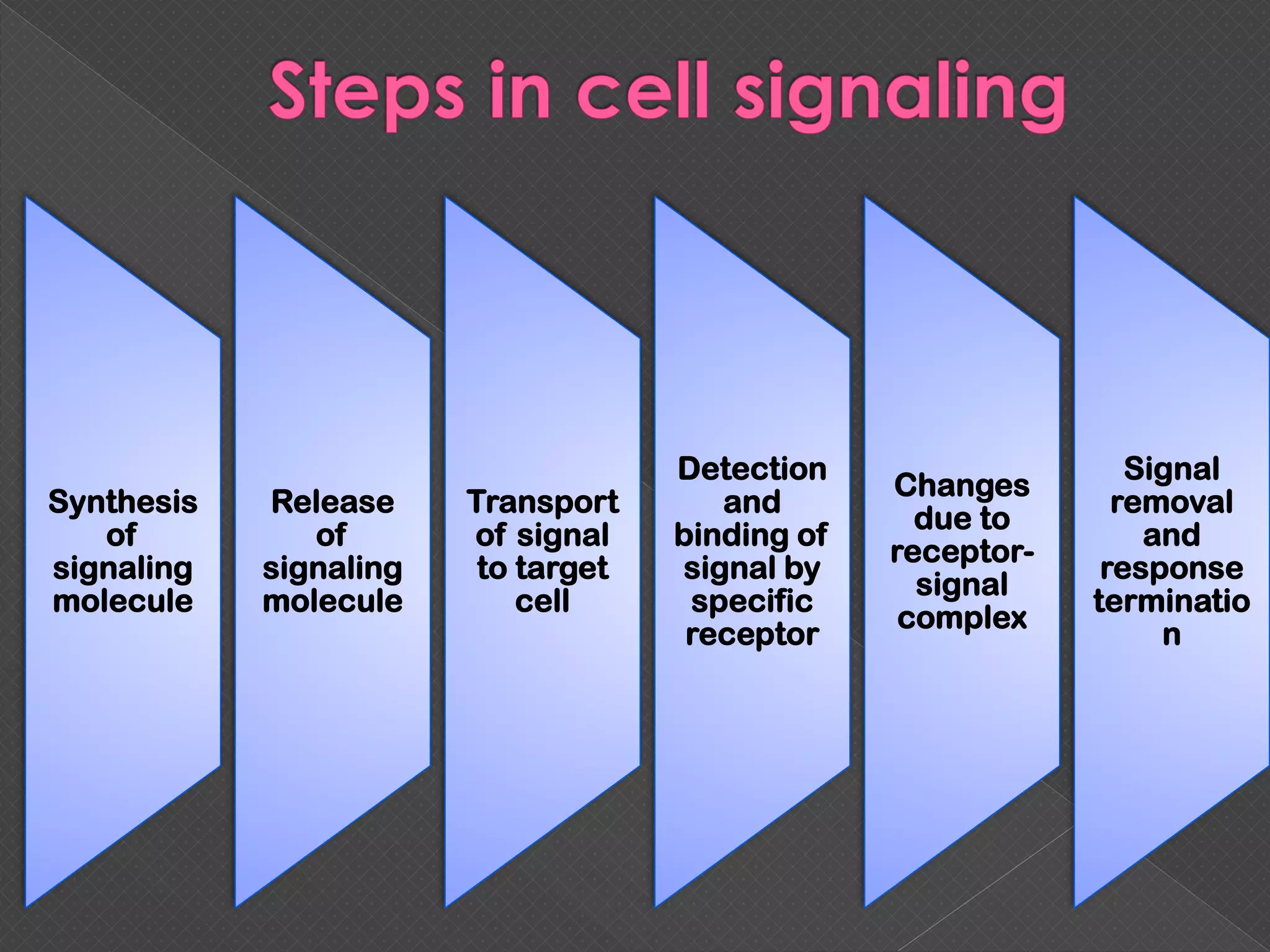 Synthesis
of
signaling
molecule
Release
of
signaling
molecule
Transport
of signal
to target
cell
Detection
and
binding of
signal by
specific
receptor
Changes
due to
receptor-
signal
complex
Signal
removal
and
response
terminatio
n
 