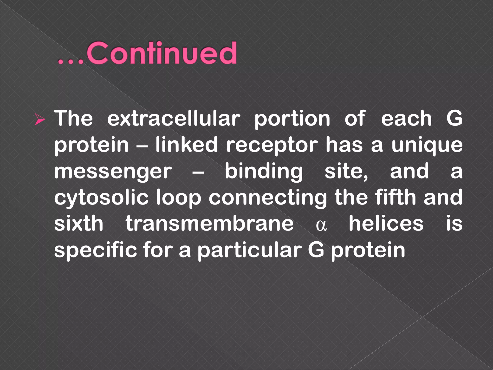  The extracellular portion of each G
protein – linked receptor has a unique
messenger – binding site, and a
cytosolic loop connecting the fifth and
sixth transmembrane α helices is
specific for a particular G protein
 