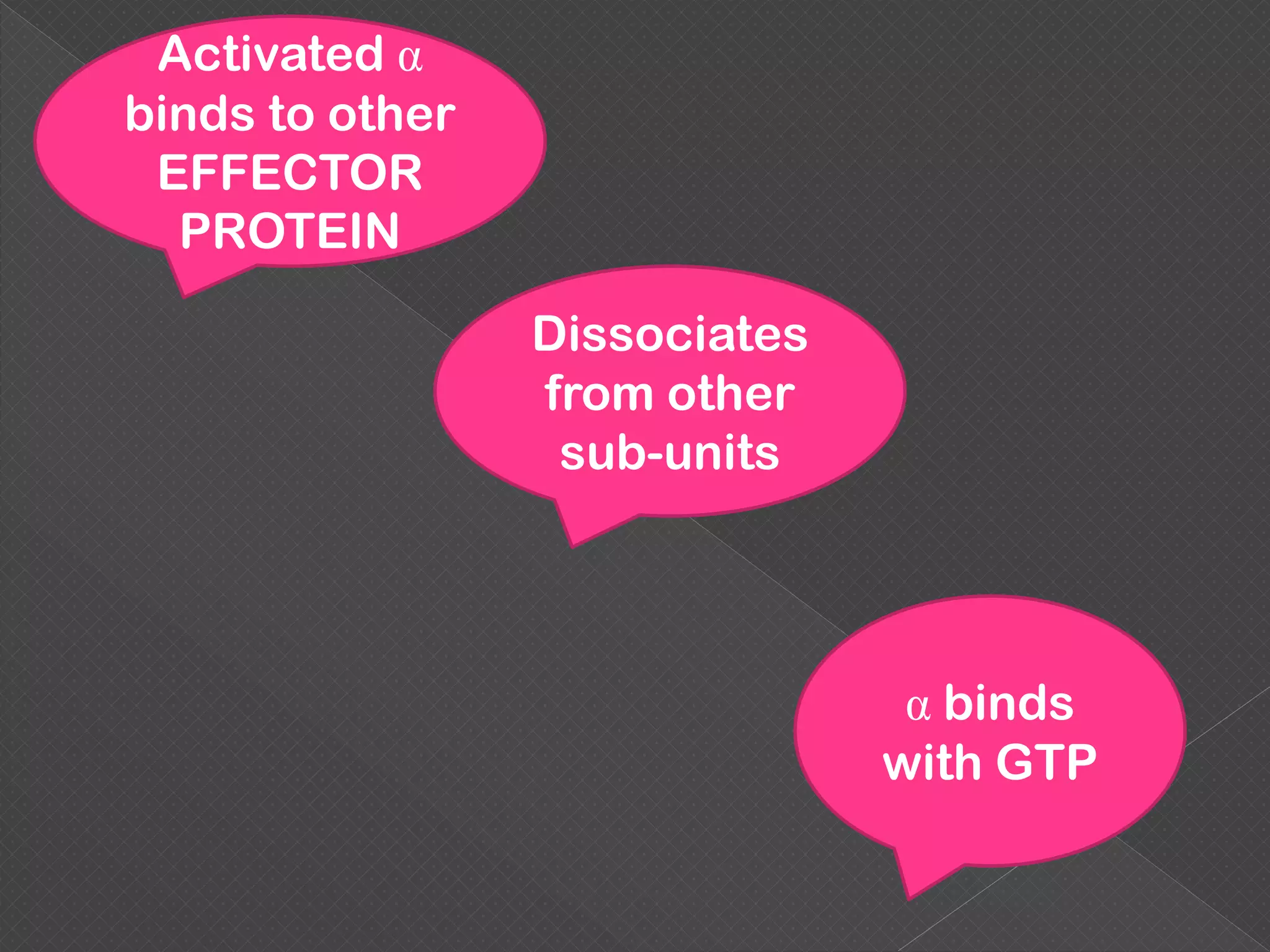 Activated α
binds to other
EFFECTOR
PROTEIN
Dissociates
from other
sub-units
α binds
with GTP
 