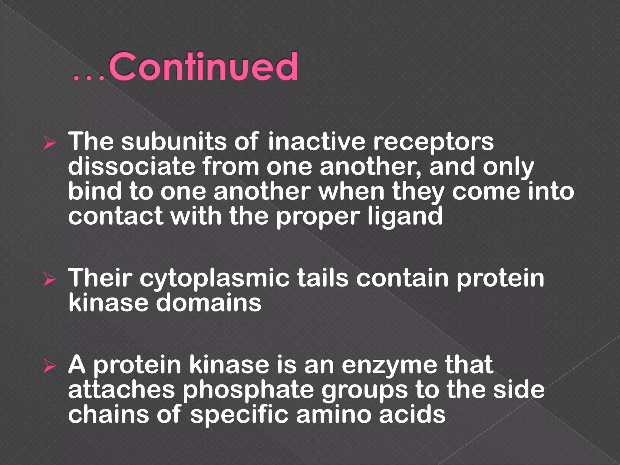  The subunits of inactive receptors
dissociate from one another, and only
bind to one another when they come into
contact with the proper ligand
 Their cytoplasmic tails contain protein
kinase domains
 A protein kinase is an enzyme that
attaches phosphate groups to the side
chains of specific amino acids
 