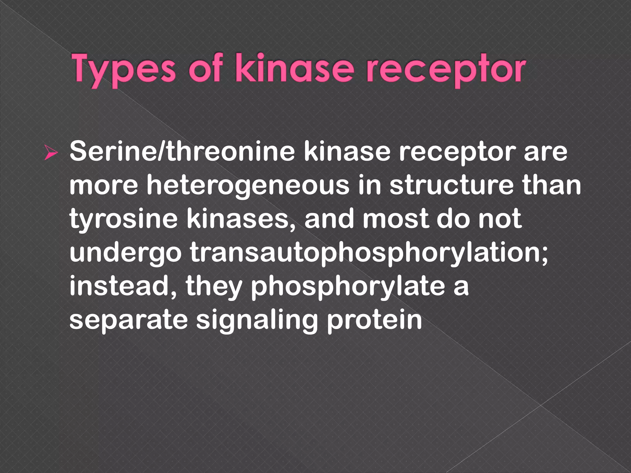  Serine/threonine kinase receptor are
more heterogeneous in structure than
tyrosine kinases, and most do not
undergo transautophosphorylation;
instead, they phosphorylate a
separate signaling protein
 
