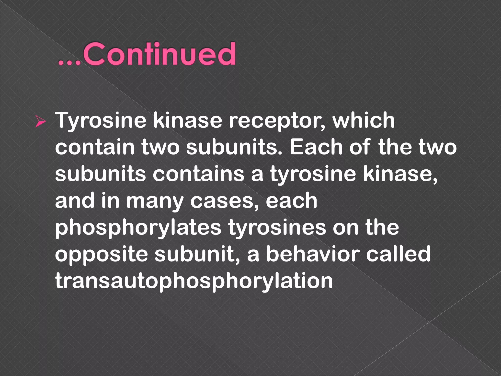  Tyrosine kinase receptor, which
contain two subunits. Each of the two
subunits contains a tyrosine kinase,
and in many cases, each
phosphorylates tyrosines on the
opposite subunit, a behavior called
transautophosphorylation
 