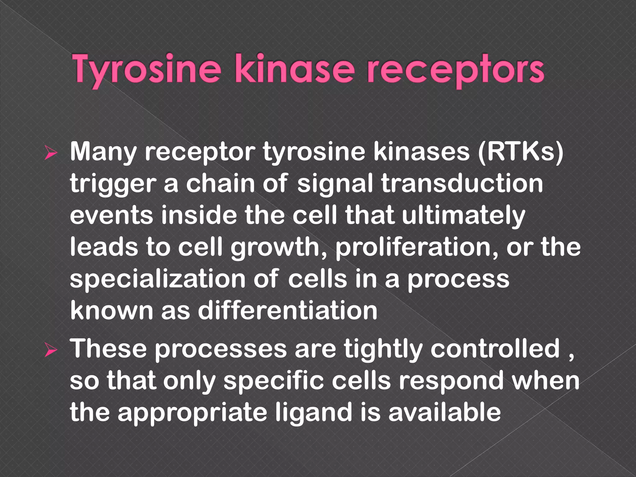  Many receptor tyrosine kinases (RTKs)
trigger a chain of signal transduction
events inside the cell that ultimately
leads to cell growth, proliferation, or the
specialization of cells in a process
known as differentiation
 These processes are tightly controlled ,
so that only specific cells respond when
the appropriate ligand is available
 