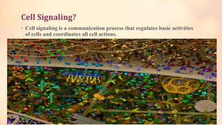 Cell signaling | PPTX