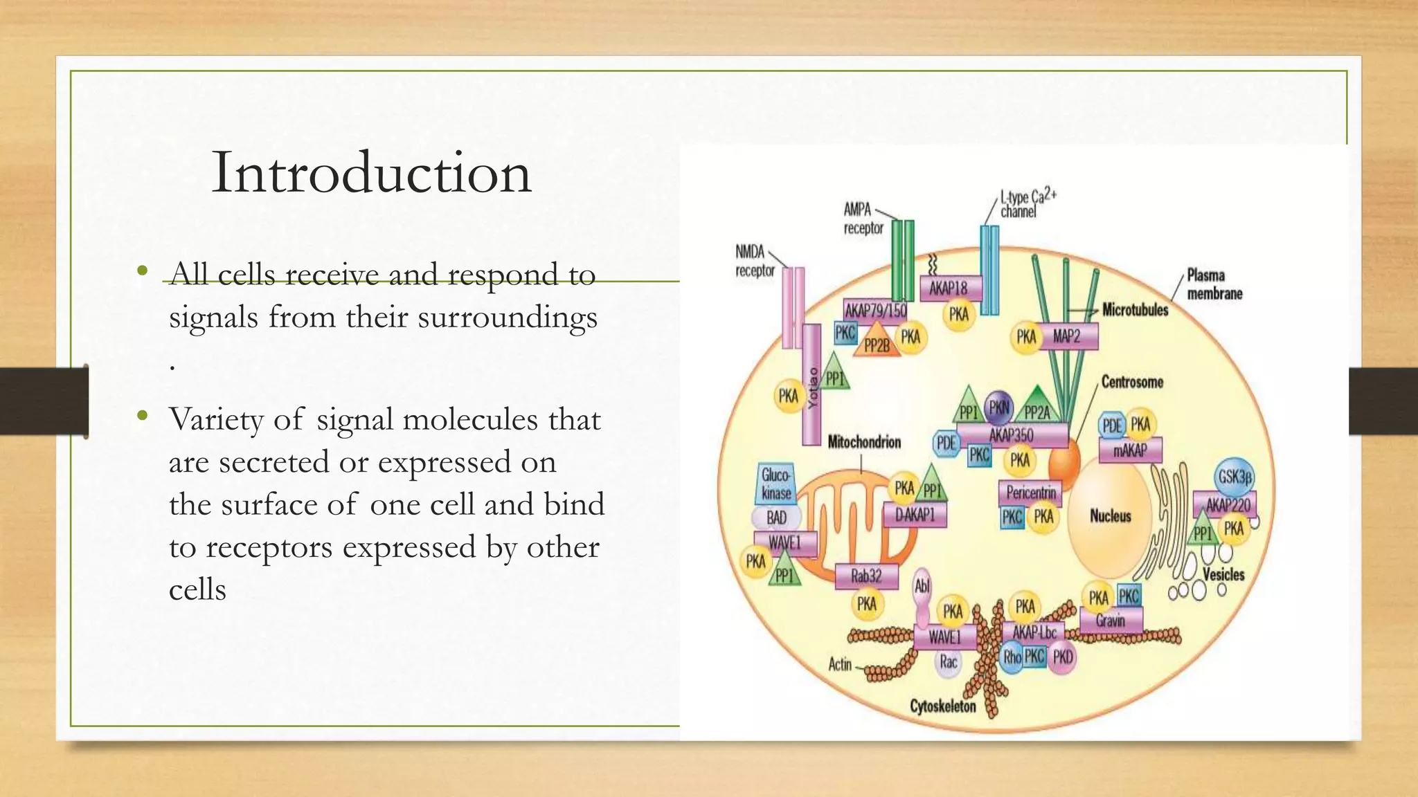 Cell signaling, cell biology | PPTX