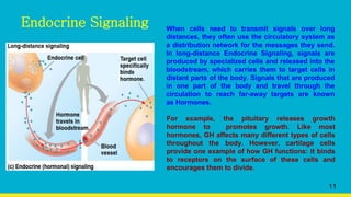 Endocrine Signaling
11
When cells need to transmit signals over long
distances, they often use the circulatory system as
a distribution network for the messages they send.
In long-distance Endocrine Signaling, signals are
produced by specialized cells and released into the
bloodstream, which carries them to target cells in
distant parts of the body. Signals that are produced
in one part of the body and travel through the
circulation to reach far-away targets are known
as Hormones.
For example, the pituitary releases growth
hormone to promotes growth. Like most
hormones, GH affects many different types of cells
throughout the body. However, cartilage cells
provide one example of how GH functions: it binds
to receptors on the surface of these cells and
encourages them to divide.
 