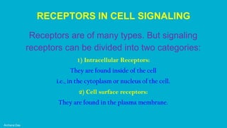 RECEPTORS IN CELL SIGNALING
Receptors are of many types. But signaling
receptors can be divided into two categories:
1) Intracellular Receptors:
They are found inside of the cell
i.e., in the cytoplasm or nucleus of the cell.
2) Cell surface receptors:
They are found in the plasma membrane.
Archana Das
 