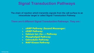 Signal Transduction Pathways
Archana Das
The chain of reaction which transmits signals from the cell surface to an
intracellular target is called Signal Transduction Pathway
There are 6 different Signal Transduction Pathways. They are :
1. cAMP Pathway (Second Messenger)
2. cGMP Pathway
3. Calcium Ion (Ca++) Pathway
4. Phospholipid Pathway
5. Calmodulin Pathway
6. MAP Kinase Pathway
 