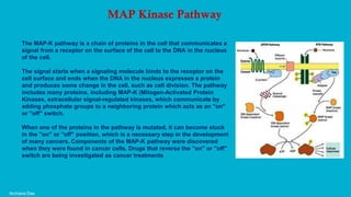 Archana Das
MAP Kinase Pathway
The MAP-K pathway is a chain of proteins in the cell that communicates a
signal from a receptor on the surface of the cell to the DNA in the nucleus
of the cell.
The signal starts when a signaling molecule binds to the receptor on the
cell surface and ends when the DNA in the nucleus expresses a protein
and produces some change in the cell, such as cell division. The pathway
includes many proteins, including MAP-K (Mitogen-Activated Protein
Kinases, extracellular signal-regulated kinases, which communicate by
adding phosphate groups to a neighboring protein which acts as an "on"
or "off" switch.
When one of the proteins in the pathway is mutated, it can become stuck
in the "on" or "off" position, which is a necessary step in the development
of many cancers. Components of the MAP-K pathway were discovered
when they were found in cancer cells. Drugs that reverse the "on" or "off"
switch are being investigated as cancer treatments
 