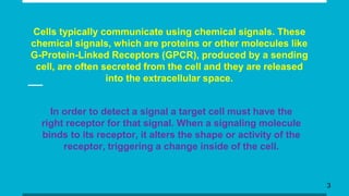 Cells typically communicate using chemical signals. These
chemical signals, which are proteins or other molecules like
G-Protein-Linked Receptors (GPCR), produced by a sending
cell, are often secreted from the cell and they are released
into the extracellular space.
In order to detect a signal a target cell must have the
right receptor for that signal. When a signaling molecule
binds to its receptor, it alters the shape or activity of the
receptor, triggering a change inside of the cell.
3
 
