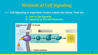 Methods of Cell Signaling
Cell Signaling in organisms involve mainly two forms. They are :
1) Cell To Cell Signaling
2) Signaling by Secreted Molecules
6
 