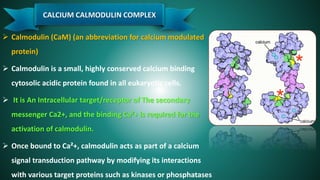 Cell signaling by Vidan Biology | PPTX