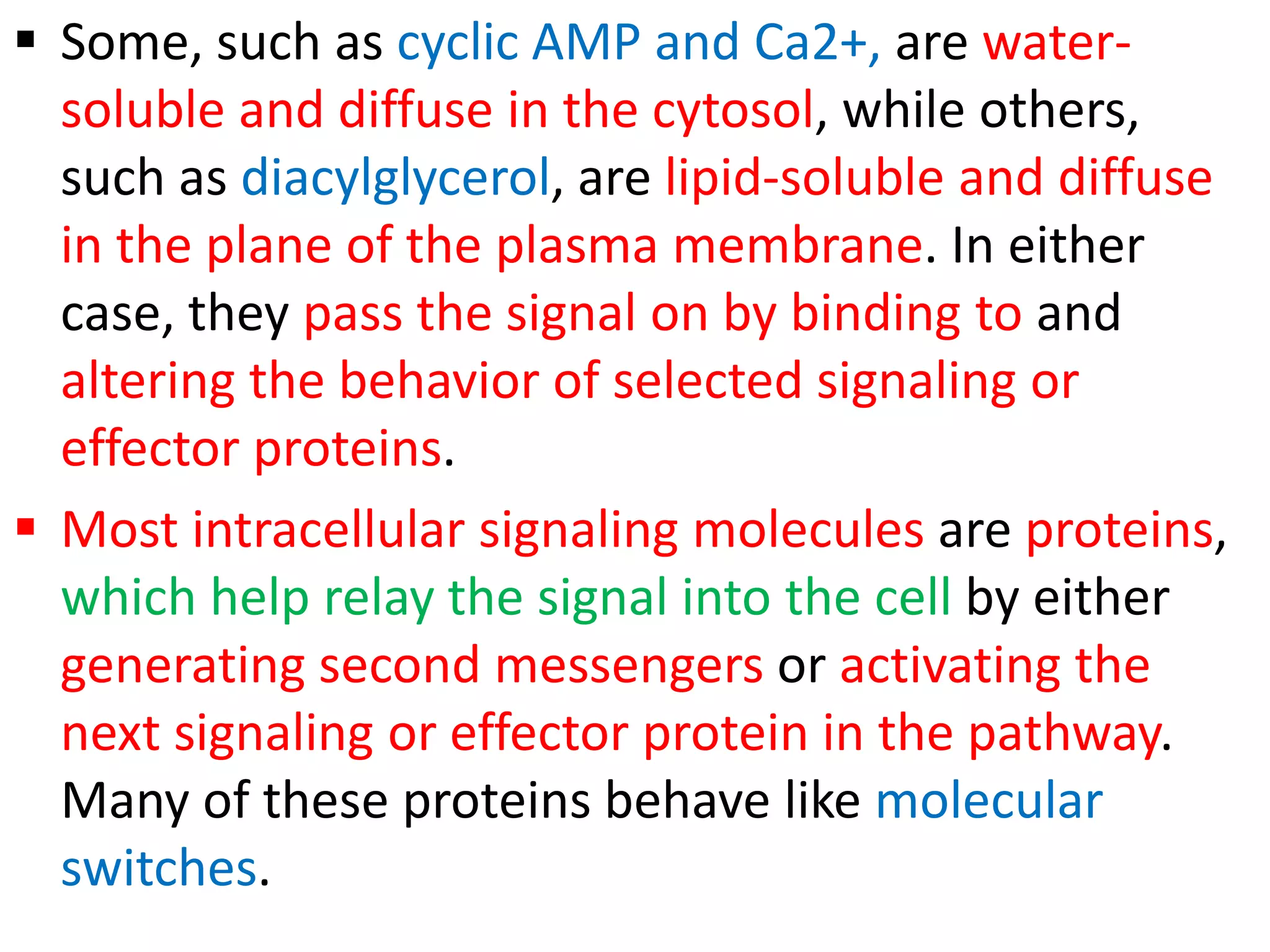  Some, such as cyclic AMP and Ca2+, are water-
soluble and diffuse in the cytosol, while others,
such as diacylglycerol, are lipid-soluble and diffuse
in the plane of the plasma membrane. In either
case, they pass the signal on by binding to and
altering the behavior of selected signaling or
effector proteins.
 Most intracellular signaling molecules are proteins,
which help relay the signal into the cell by either
generating second messengers or activating the
next signaling or effector protein in the pathway.
Many of these proteins behave like molecular
switches.
 