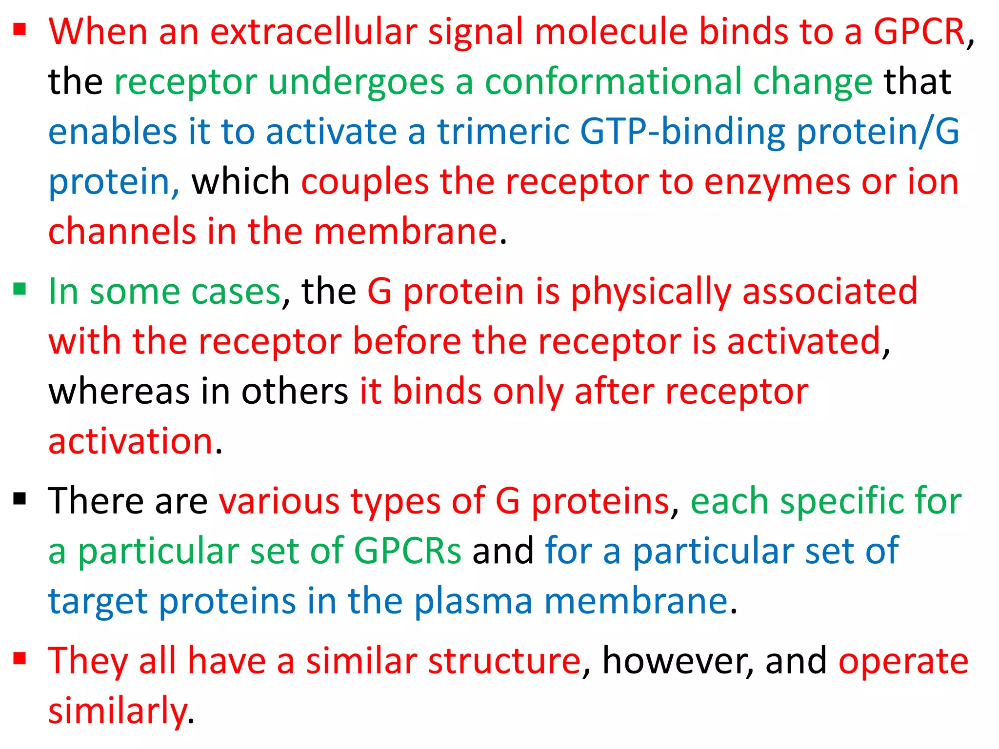  When an extracellular signal molecule binds to a GPCR,
the receptor undergoes a conformational change that
enables it to activate a trimeric GTP-binding protein/G
protein, which couples the receptor to enzymes or ion
channels in the membrane.
 In some cases, the G protein is physically associated
with the receptor before the receptor is activated,
whereas in others it binds only after receptor
activation.
 There are various types of G proteins, each specific for
a particular set of GPCRs and for a particular set of
target proteins in the plasma membrane.
 They all have a similar structure, however, and operate
similarly.
 