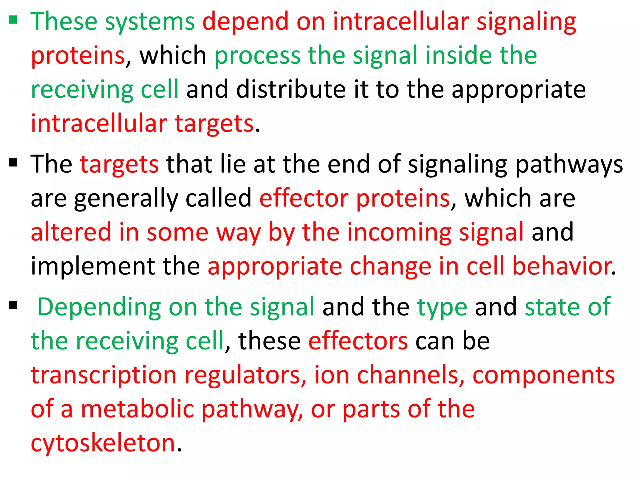  These systems depend on intracellular signaling
proteins, which process the signal inside the
receiving cell and distribute it to the appropriate
intracellular targets.
 The targets that lie at the end of signaling pathways
are generally called effector proteins, which are
altered in some way by the incoming signal and
implement the appropriate change in cell behavior.
 Depending on the signal and the type and state of
the receiving cell, these effectors can be
transcription regulators, ion channels, components
of a metabolic pathway, or parts of the
cytoskeleton.
 