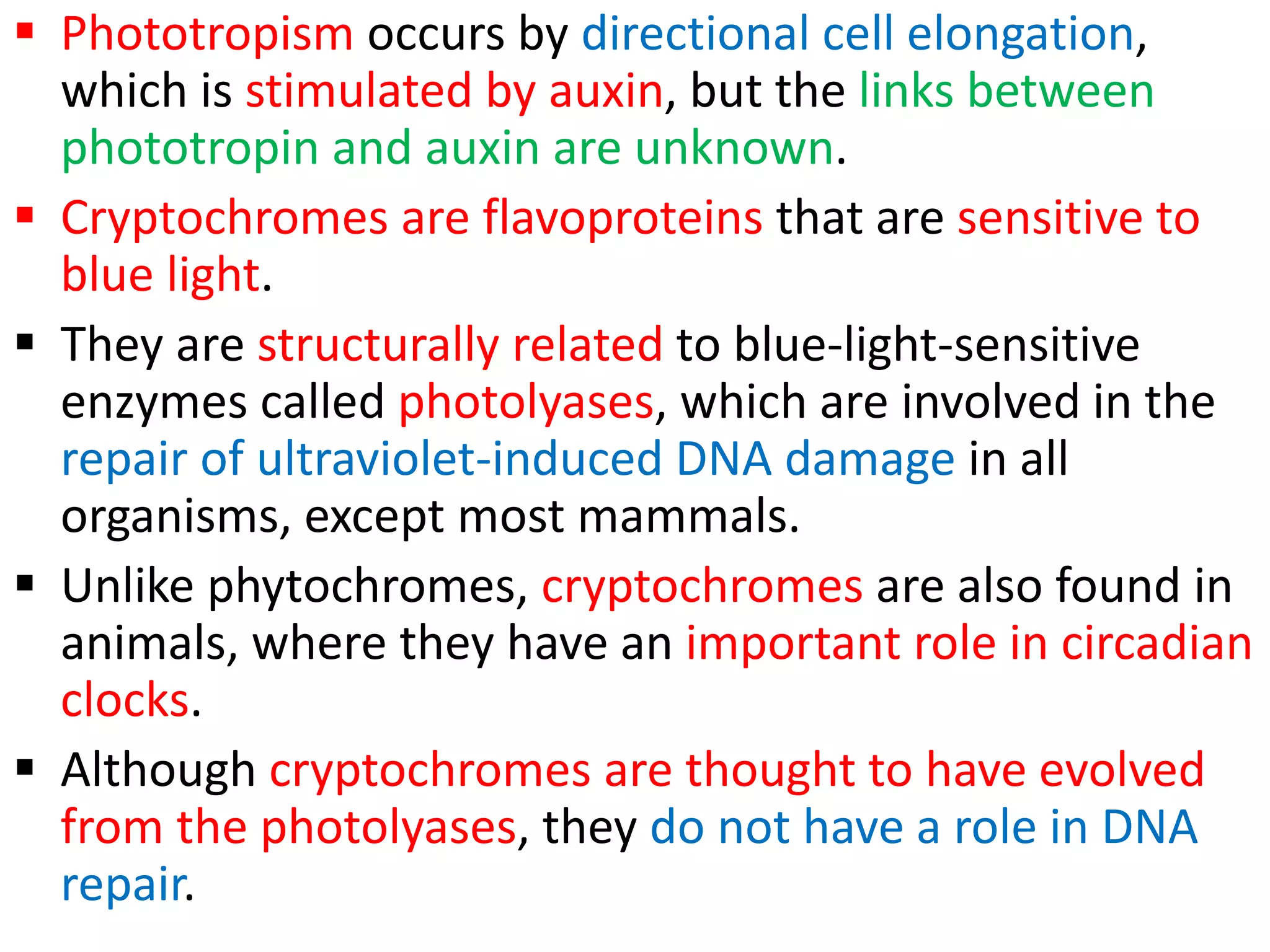  Phototropism occurs by directional cell elongation,
which is stimulated by auxin, but the links between
phototropin and auxin are unknown.
 Cryptochromes are flavoproteins that are sensitive to
blue light.
 They are structurally related to blue-light-sensitive
enzymes called photolyases, which are involved in the
repair of ultraviolet-induced DNA damage in all
organisms, except most mammals.
 Unlike phytochromes, cryptochromes are also found in
animals, where they have an important role in circadian
clocks.
 Although cryptochromes are thought to have evolved
from the photolyases, they do not have a role in DNA
repair.
 
