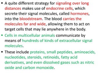  A quite different strategy for signaling over long
distances makes use of endocrine cells, which
secrete their signal molecules, called hormones,
into the bloodstream. The blood carries the
molecules far and wide, allowing them to act on
target cells that may lie anywhere in the body.
 Cells in multicellular animals communicate by
means of hundreds of kinds of extracellular signal
molecules.
 These include proteins, small peptides, aminoacids,
nucleotides, steroids, retinoids, fatty acid
derivatives, and even dissolved gases such as nitric
oxide and carbon monoxide.
 