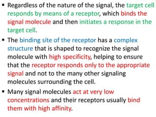  Regardless of the nature of the signal, the target cell
responds by means of a receptor, which binds the
signal molecule and then initiates a response in the
target cell.
 The binding site of the receptor has a complex
structure that is shaped to recognize the signal
molecule with high specificity, helping to ensure
that the receptor responds only to the appropriate
signal and not to the many other signaling
molecules surrounding the cell.
 Many signal molecules act at very low
concentrations and their receptors usually bind
them with high affinity.
 