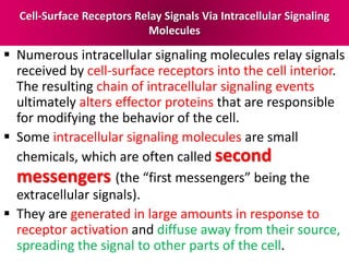 Cell-Surface Receptors Relay Signals Via Intracellular Signaling
Molecules
 Numerous intracellular signaling molecules relay signals
received by cell-surface receptors into the cell interior.
The resulting chain of intracellular signaling events
ultimately alters effector proteins that are responsible
for modifying the behavior of the cell.
 Some intracellular signaling molecules are small
chemicals, which are often called second
messengers (the “first messengers” being the
extracellular signals).
 They are generated in large amounts in response to
receptor activation and diffuse away from their source,
spreading the signal to other parts of the cell.
 