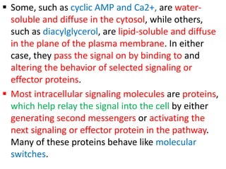  Some, such as cyclic AMP and Ca2+, are water-
soluble and diffuse in the cytosol, while others,
such as diacylglycerol, are lipid-soluble and diffuse
in the plane of the plasma membrane. In either
case, they pass the signal on by binding to and
altering the behavior of selected signaling or
effector proteins.
 Most intracellular signaling molecules are proteins,
which help relay the signal into the cell by either
generating second messengers or activating the
next signaling or effector protein in the pathway.
Many of these proteins behave like molecular
switches.
 