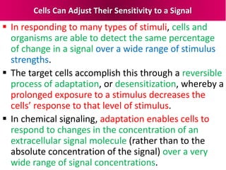 Cells Can Adjust Their Sensitivity to a Signal
 In responding to many types of stimuli, cells and
organisms are able to detect the same percentage
of change in a signal over a wide range of stimulus
strengths.
 The target cells accomplish this through a reversible
process of adaptation, or desensitization, whereby a
prolonged exposure to a stimulus decreases the
cells’ response to that level of stimulus.
 In chemical signaling, adaptation enables cells to
respond to changes in the concentration of an
extracellular signal molecule (rather than to the
absolute concentration of the signal) over a very
wide range of signal concentrations.
 