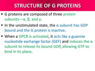 STRUCTURE OF G PROTEINS
 G proteins are composed of three protein
subunits—α, β, and γ.
 In the unstimulated state, the α subunit has GDP
bound and the G protein is inactive.
 When a GPCR is activated, it acts like a guanine
nucleotide exchange factor (GEF) and induces the α
subunit to release its bound GDP, allowing GTP to
bind in its place.
 