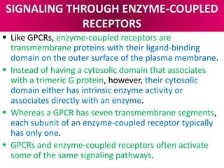 SIGNALING THROUGH ENZYME-COUPLED
RECEPTORS
 Like GPCRs, enzyme-coupled receptors are
transmembrane proteins with their ligand-binding
domain on the outer surface of the plasma membrane.
 Instead of having a cytosolic domain that associates
with a trimeric G protein, however, their cytosolic
domain either has intrinsic enzyme activity or
associates directly with an enzyme.
 Whereas a GPCR has seven transmembrane segments,
each subunit of an enzyme-coupled receptor typically
has only one.
 GPCRs and enzyme-coupled receptors often activate
some of the same signaling pathways.
 