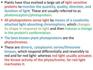  Plants have thus evolved a large set of light-sensitive
proteins to monitor the quantity, quality, direction, and
duration of light. These are usually referred to as
photoreceptors/photoprotein.
 All photoproteins sense light by means of a covalently
attached light-absorbing chromophore, which changes
its shape in response to light and then induces a change
in the protein’s conformation.
 The best-known plant photoproteins are the
phytochromes.
 These are dimeric, cytoplasmic serine/threonine
kinases, which respond differentially and reversibly to
red and far-red light: whereas red light usually activates
the kinase activity of the phytochrome, far-red light
inactivates it.
 