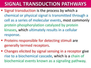 SIGNAL TRANSDUCTION PATHWAYS
 Signal transduction is the process by which a
chemical or physical signal is transmitted through a
cell as a series of molecular events, most commonly
protein phosphorylation catalyzed by protein
kinases, which ultimately results in a cellular
response.
 Proteins responsible for detecting stimuli are
generally termed receptors.
 Changes elicited by signal sensing in a receptor give
rise to a biochemical cascade, which is a chain of
biochemical events known as a signaling pathway.
 