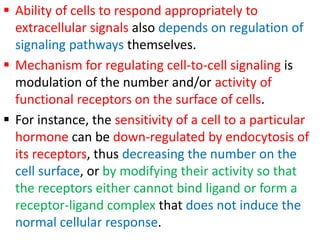  Ability of cells to respond appropriately to
extracellular signals also depends on regulation of
signaling pathways themselves.
 Mechanism for regulating cell-to-cell signaling is
modulation of the number and/or activity of
functional receptors on the surface of cells.
 For instance, the sensitivity of a cell to a particular
hormone can be down-regulated by endocytosis of
its receptors, thus decreasing the number on the
cell surface, or by modifying their activity so that
the receptors either cannot bind ligand or form a
receptor-ligand complex that does not induce the
normal cellular response.
 