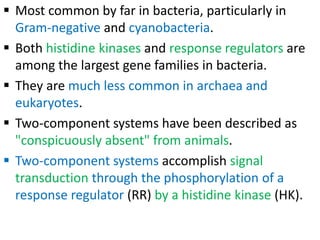  Most common by far in bacteria, particularly in
Gram-negative and cyanobacteria.
 Both histidine kinases and response regulators are
among the largest gene families in bacteria.
 They are much less common in archaea and
eukaryotes.
 Two-component systems have been described as
"conspicuously absent" from animals.
 Two-component systems accomplish signal
transduction through the phosphorylation of a
response regulator (RR) by a histidine kinase (HK).
 