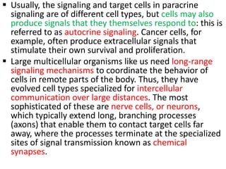  Usually, the signaling and target cells in paracrine
signaling are of different cell types, but cells may also
produce signals that they themselves respond to: this is
referred to as autocrine signaling. Cancer cells, for
example, often produce extracellular signals that
stimulate their own survival and proliferation.
 Large multicellular organisms like us need long-range
signaling mechanisms to coordinate the behavior of
cells in remote parts of the body. Thus, they have
evolved cell types specialized for intercellular
communication over large distances. The most
sophisticated of these are nerve cells, or neurons,
which typically extend long, branching processes
(axons) that enable them to contact target cells far
away, where the processes terminate at the specialized
sites of signal transmission known as chemical
synapses.
 