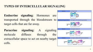 Cell signaling (cellular and molecular biology) | PPTX