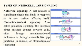 Cell signaling (cellular and molecular biology) | PPTX