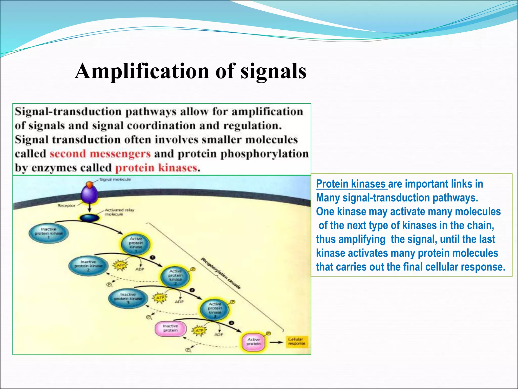 Cell Signaling- Arijit.ppt