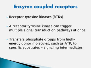  Receptor tyrosine kinases (RTKs)
 A receptor tyrosine kinase can trigger
multiple signal transduction pathways at once
 Transfers phosphate groups from high-
energy donor molecules, such as ATP, to
specific substrates – signaling intermediates
 