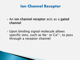  An ion channel receptor acts as a gated
channel
 Upon binding signal molecule allows
specific ions, such as Na+ or Ca2+, to pass
through a receptor channel
 
