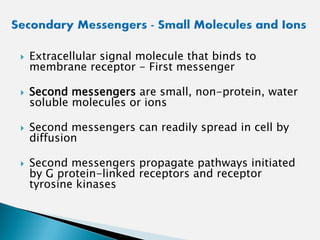  Extracellular signal molecule that binds to
membrane receptor - First messenger
 Second messengers are small, non-protein, water
soluble molecules or ions
 Second messengers can readily spread in cell by
diffusion
 Second messengers propagate pathways initiated
by G protein-linked receptors and receptor
tyrosine kinases
 