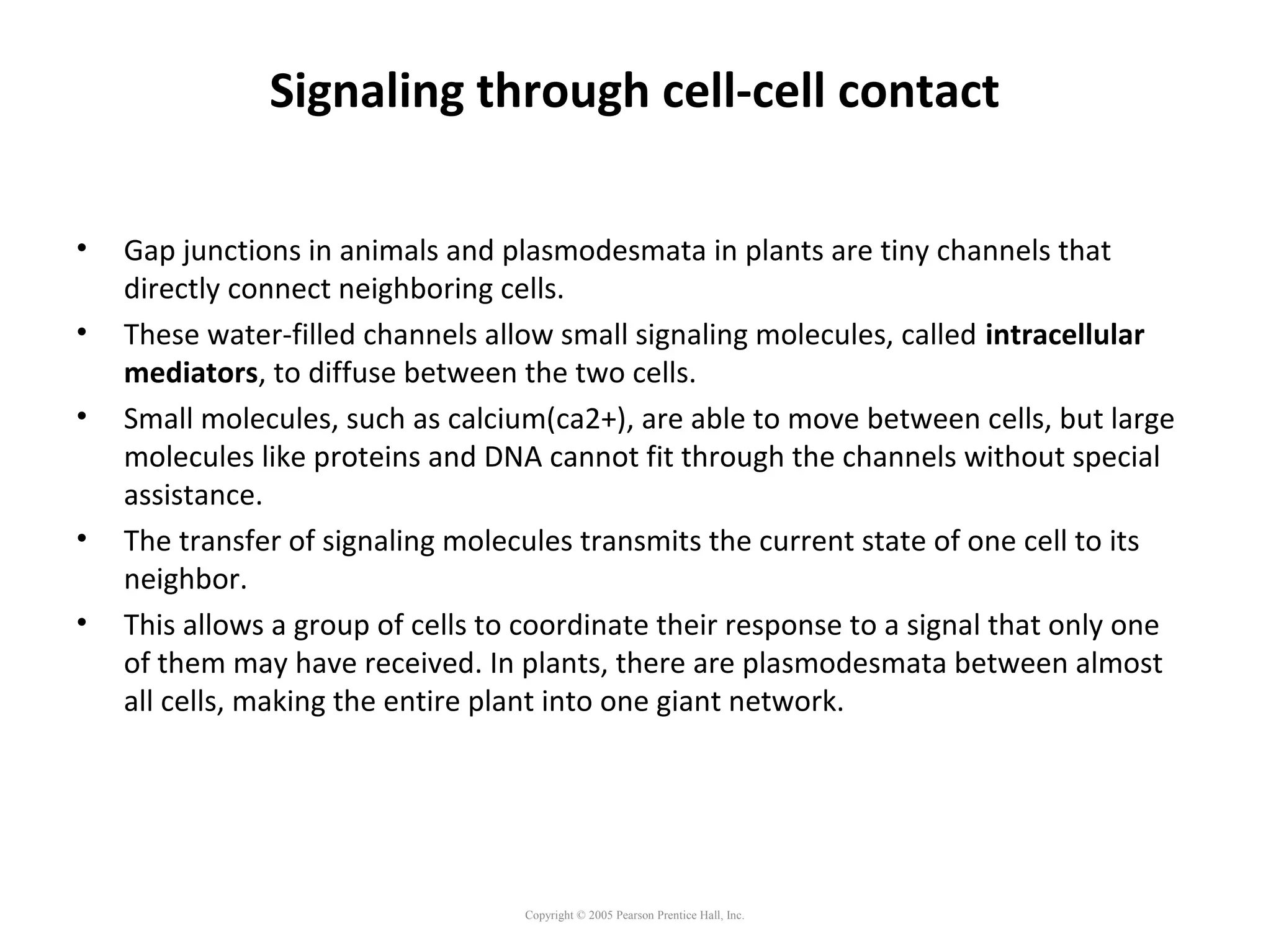Signaling through cell-cell contact
• Gap junctions in animals and plasmodesmata in plants are tiny channels that
directly connect neighboring cells.
• These water-filled channels allow small signaling molecules, called intracellular
mediators, to diffuse between the two cells.
• Small molecules, such as calcium(ca2+), are able to move between cells, but large
molecules like proteins and DNA cannot fit through the channels without special
assistance.
• The transfer of signaling molecules transmits the current state of one cell to its
neighbor.
• This allows a group of cells to coordinate their response to a signal that only one
of them may have received. In plants, there are plasmodesmata between almost
all cells, making the entire plant into one giant network.
Copyright © 2005 Pearson Prentice Hall, Inc.
 