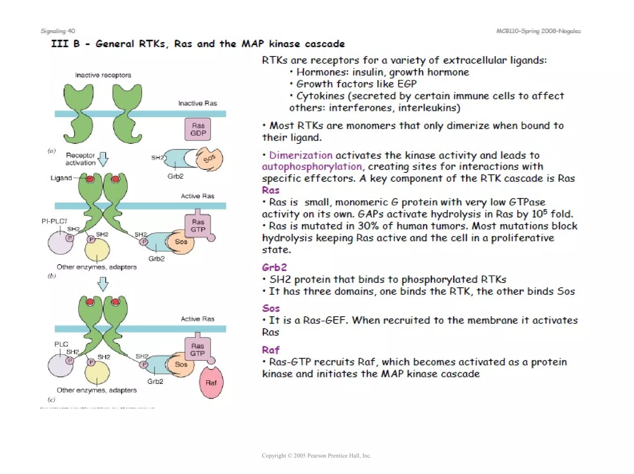 Copyright © 2005 Pearson Prentice Hall, Inc.
 